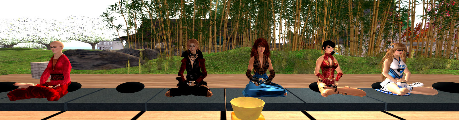 Aero meditating at Zen retreat