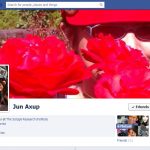 Screen Cap of Jun Axup's Facebook Timeline Cover