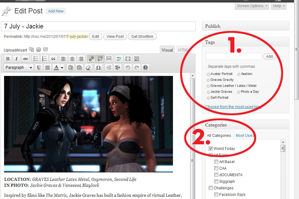 Screen Cap of iRez blog in WordPress Post Editor showing Category & Tag choices