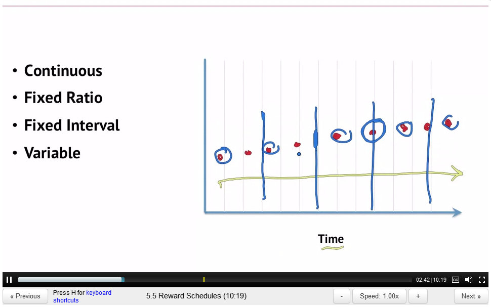 ScreenCap of Gamification lecture 5 by Kevin Werbach showing different schedules of reinforcement: Continuous, Fixed Ratio, Fixed Interval and Variable