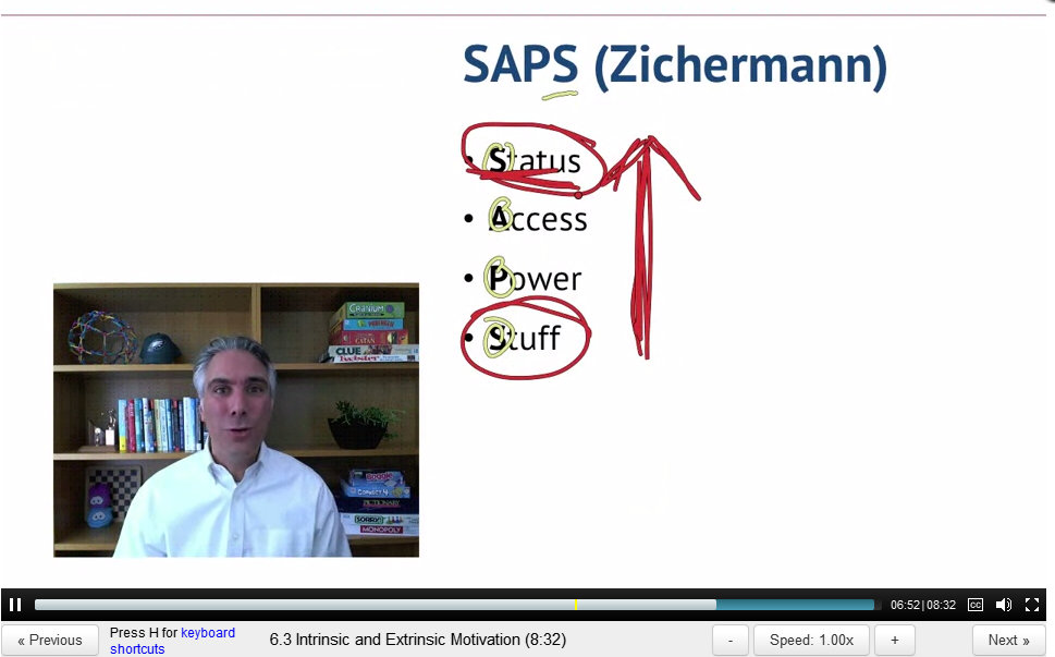Gabe Zichermann's "SAPS" diagram