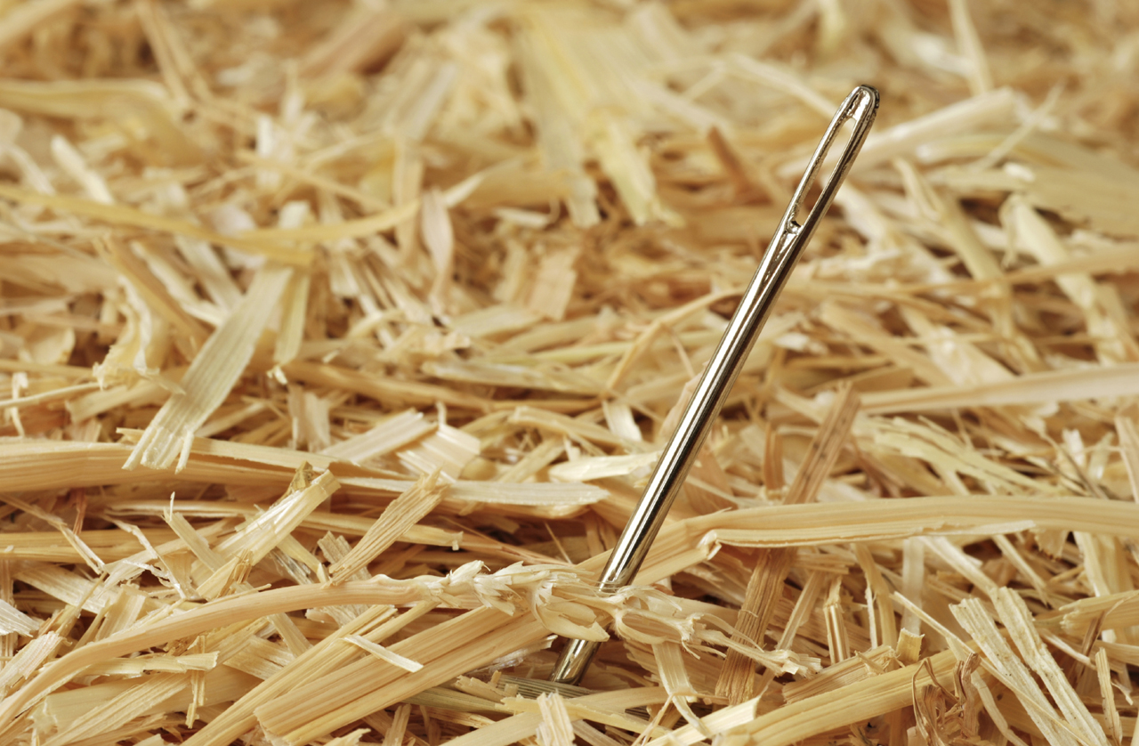 An image of a needle in a haystack representing search engine optimisation