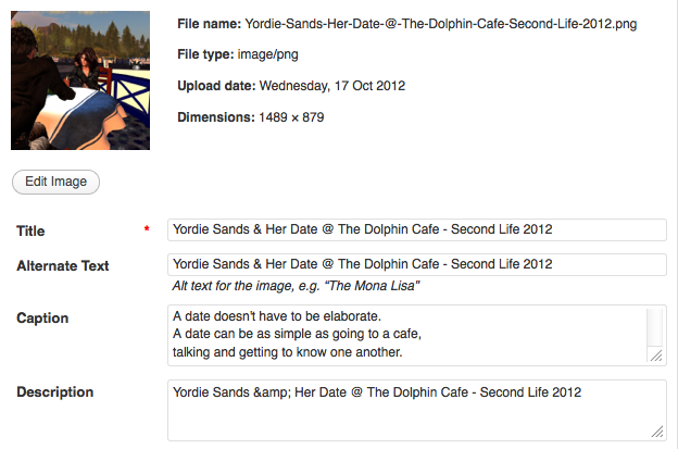 An image of Yordie's search optimised image - editing screen