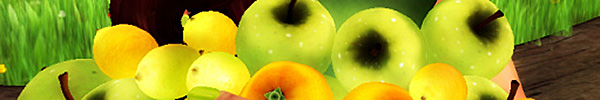"When life gives you lemons" photo of lemons and apples