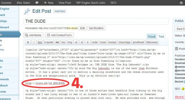 Screen Cap of WordPress Text Edit mode