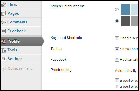 ScreenCap of WordPress backend showing various choices including Profile.